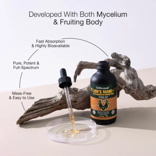 Lion's Mane Mushroom Extract - Image 3